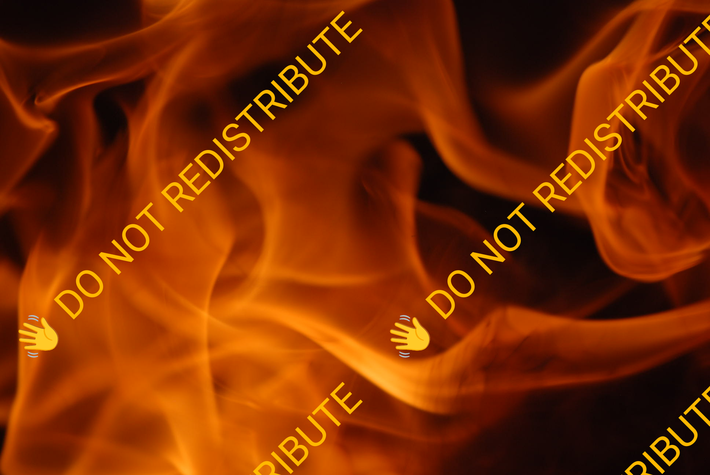 Fire (Assets)