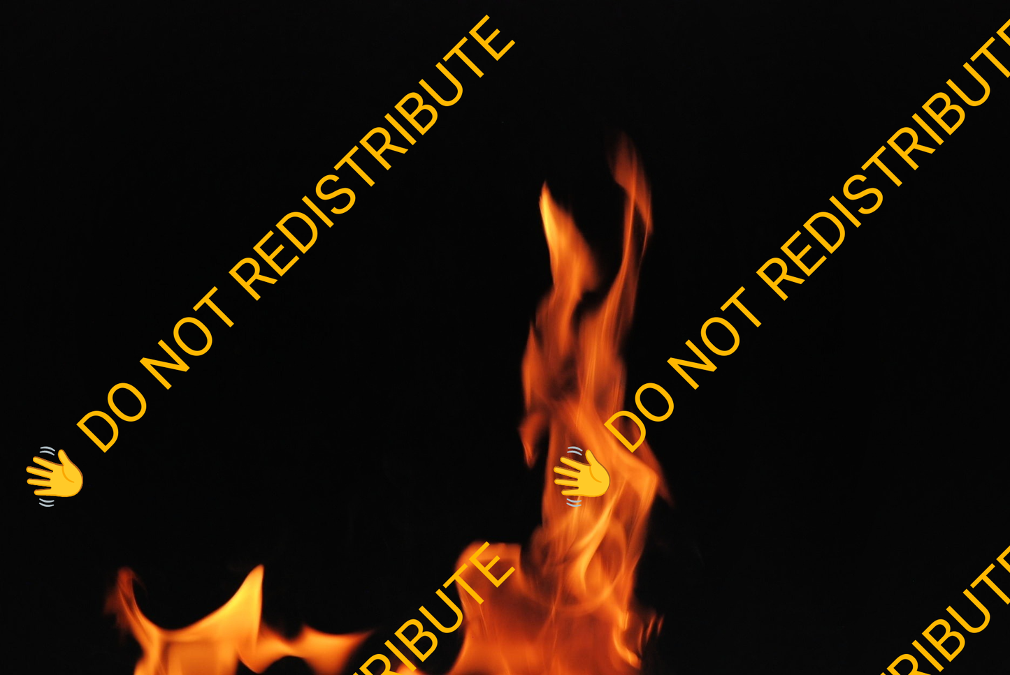 Fire (Assets)